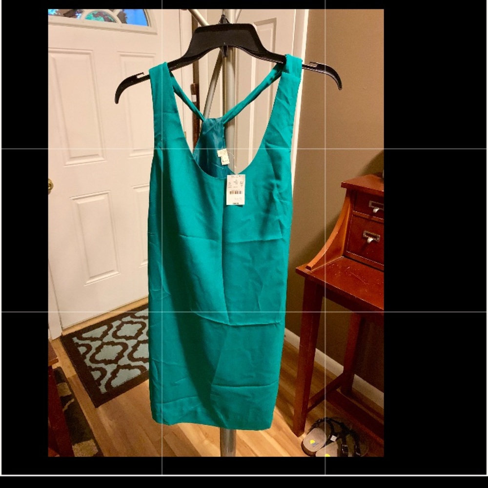 J. Crew Dress
